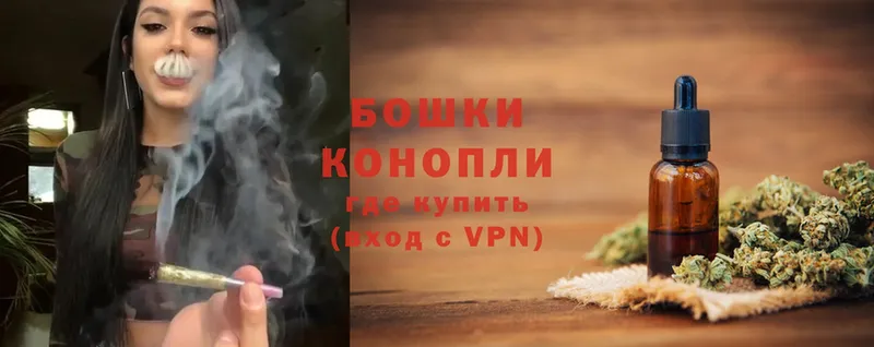 Конопля OG Kush  Абинск 